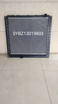 رادیاتور مخزن آب Xuande Wing 3 معتبر BZ13019803